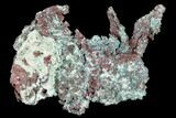 Natural, Native Copper with Cuprite - Carissa Pit, Nevada #168897-1